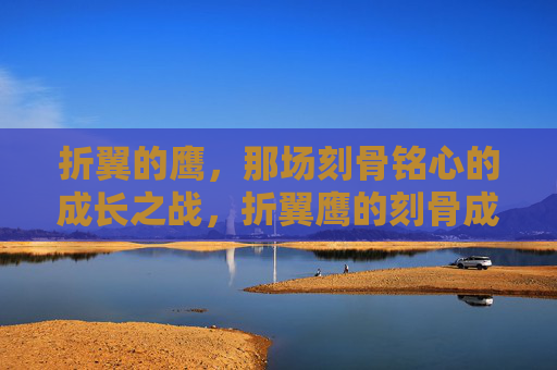 折翼的鹰,那场刻骨铭心的成长之战,折翼鹰的刻骨成长战