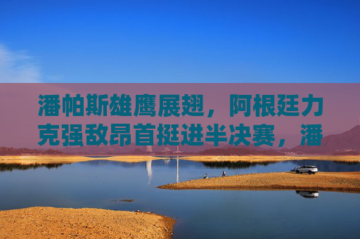 潘帕斯雄鹰展翅,阿根廷力克强敌昂首挺进半决赛,潘帕斯雄鹰展翅,阿根廷力克强敌挺进半决赛