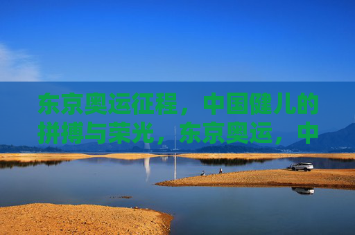 东京奥运征程，中国健儿的拼搏与荣光，东京奥运，中国健儿的拼搏与荣光