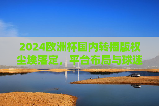 2024欧洲杯国内转播版权尘埃落定，平台布局与球迷观赛新体验