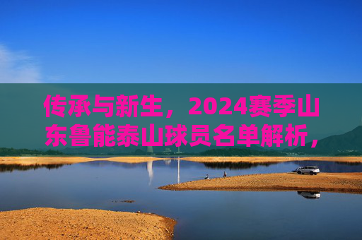 传承与新生，2024赛季山东鲁能泰山球员名单解析，传承与新生，2024赛季山东鲁能泰山球员名单解析