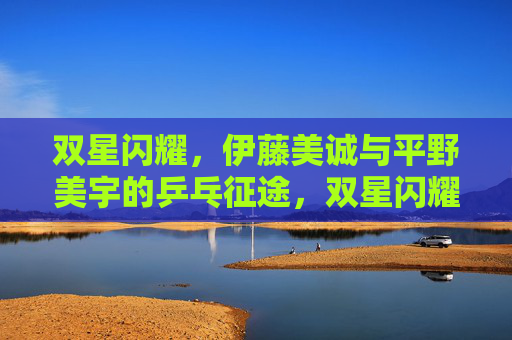 双星闪耀，伊藤美诚与平野美宇的乒乓征途，双星闪耀，伊藤美诚与平野美宇的乒乓征途