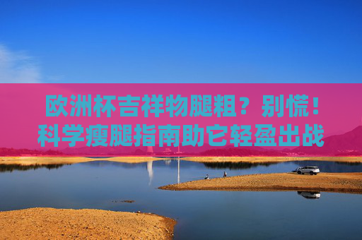 欧洲杯吉祥物腿粗？别慌！科学瘦腿指南助它轻盈出战，欧洲杯吉祥物瘦腿秘籍，科学指南助它轻盈出战