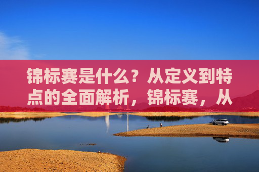 锦标赛是什么？从定义到特点的全面解析，锦标赛，从定义到特点的全面解析