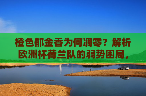 橙色郁金香为何凋零？解析欧洲杯荷兰队的弱势困局，橙色郁金香凋零，欧洲杯荷兰队的弱势困局