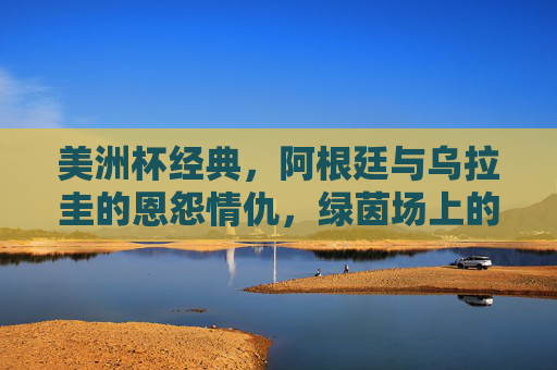 美洲杯经典，阿根廷与乌拉圭的恩怨情仇，绿茵场上的南美双雄对决，南美双雄恩怨对决，阿根廷乌拉圭美洲杯经典