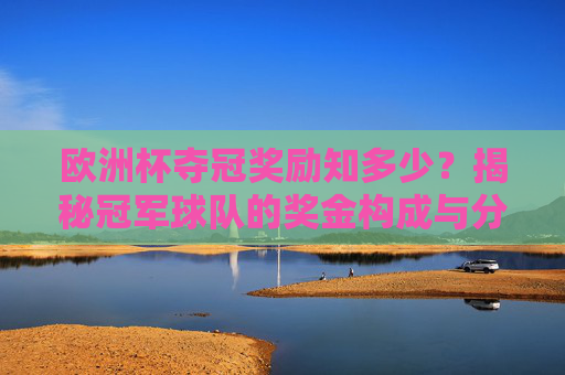 欧洲杯夺冠奖励知多少？揭秘冠军球队的奖金构成与分配，欧洲杯冠军奖金构成与分配揭秘