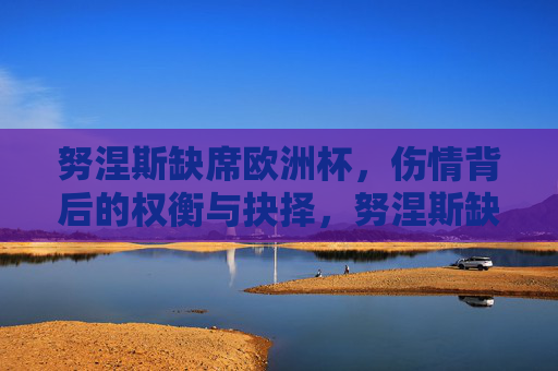 努涅斯缺席欧洲杯，伤情背后的权衡与抉择，努涅斯缺席欧洲杯，伤情背后的抉择