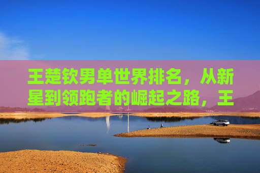 王楚钦男单世界排名，从新星到领跑者的崛起之路，王楚钦，从新星到领跑者的男单崛起之路
