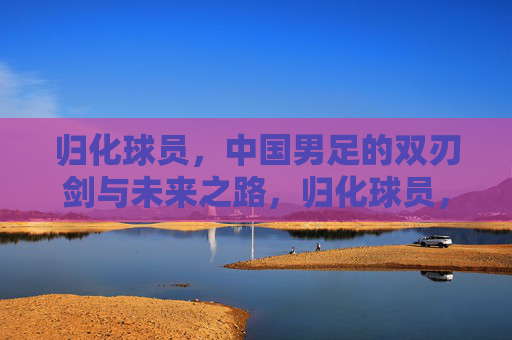 归化球员，中国男足的双刃剑与未来之路，归化球员，中国男足的双刃剑与未来之路