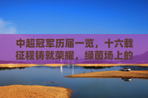 中超冠军历届一览，十六载征程铸就荣耀，绿茵场上的王座更迭，十六载绿茵征程，中超冠军荣耀更迭