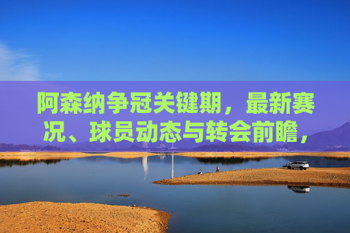 阿森纳争冠关键期，最新赛况、球员动态与转会前瞻，阿森纳争冠关键期，赛况、球员动态及转会前瞻