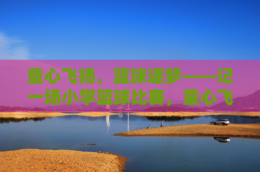 童心飞扬，篮球逐梦——记一场小学篮球比赛，童心飞扬，篮球逐梦