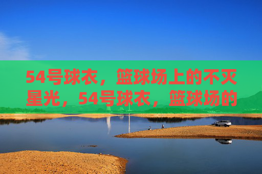 54号球衣,篮球场上的不灭星光,54号球衣,篮球场的不灭星光