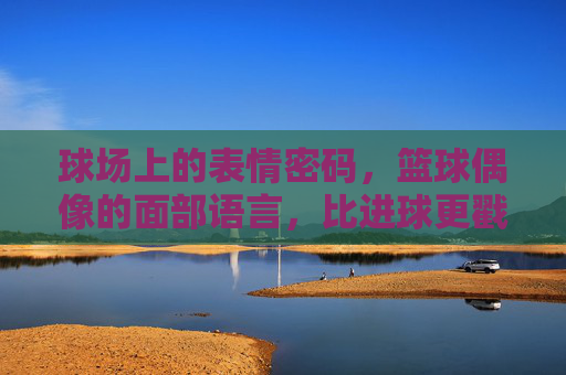 球场上的表情密码，篮球偶像的面部语言，比进球更戳心，球场表情密码，比进球更戳心的球星语言