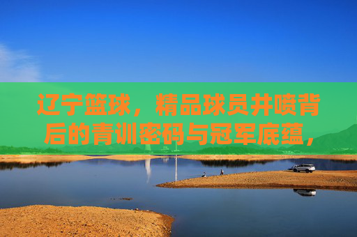 辽宁篮球,精品球员井喷背后的青训密码与冠军底蕴,辽宁篮球,青训密码与冠军底蕴共筑球员井喷
