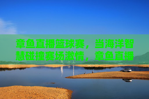 章鱼直播篮球赛，当海洋智慧碰撞赛场激情，章鱼直播篮球赛，海洋智慧碰撞赛场激情