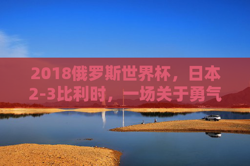 2018俄罗斯世界杯，日本2-3比利时，一场关于勇气、战术与世纪逆转的史诗对决，2018世界杯日本2-3比利时，勇毅战术铸就世纪逆转