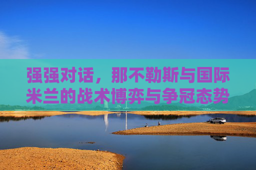 强强对话，那不勒斯与国际米兰的战术博弈与争冠态势分析，强强对话，那不勒斯与国际米兰的战术博弈与争冠态势