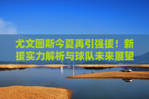 尤文图斯今夏再引强援！新援实力解析与球队未来展望，尤文图斯今夏再引强援，新援实力解析与球队未来展望