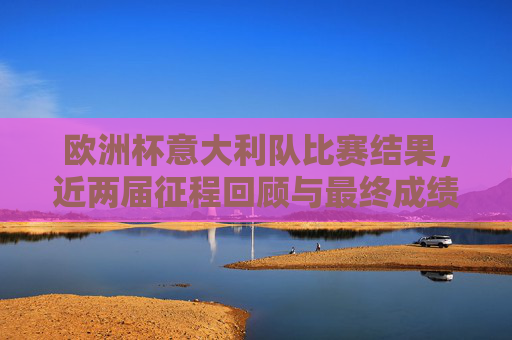 欧洲杯意大利队比赛结果，近两届征程回顾与最终成绩，欧洲杯意大利队近两届征程回顾，比赛结果与最终成绩