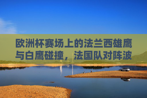 欧洲杯赛场上的法兰西雄鹰与白鹰碰撞,法国队对阵波兰队战绩全解析