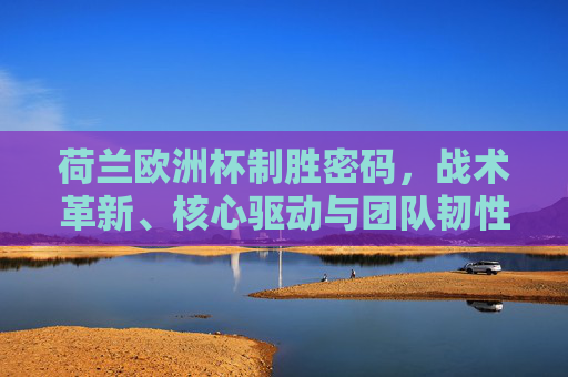 荷兰欧洲杯制胜密码，战术革新、核心驱动与团队韧性的交响，荷兰欧洲杯制胜密码，战术革新、核心驱动与团队韧性的交响