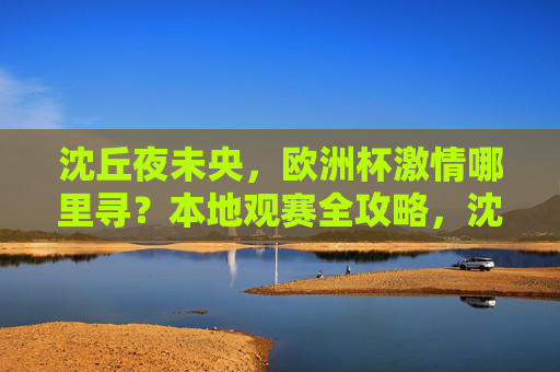 沈丘夜未央，欧洲杯激情哪里寻？本地观赛全攻略，沈丘夜未央，欧洲杯本地观赛激情攻略