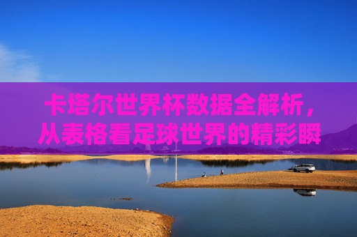 卡塔尔世界杯数据全解析，从表格看足球世界的精彩瞬间，卡塔尔世界杯数据全解析，表格里的足球精彩瞬间
