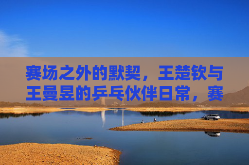 赛场之外的默契，王楚钦与王曼昱的乒乓伙伴日常，赛场外的默契，王楚钦王曼昱乒乓伙伴日常