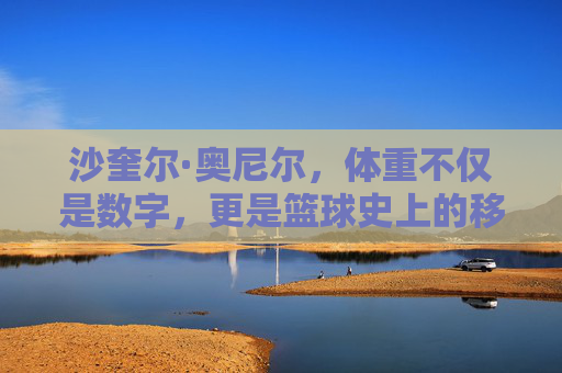 沙奎尔·奥尼尔，体重不仅是数字，更是篮球史上的移动堡垒，奥尼尔，篮球史上的体重移动堡垒