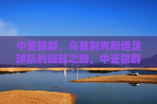 中亚狼群，乌兹别克斯坦足球队的崛起之路，中亚狼群，乌兹别克斯坦足球队的崛起之路
