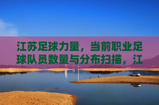 江苏足球力量,当前职业足球队员数量与分布扫描,江苏足球力量,职业球员数量与分布扫描