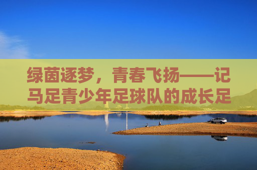 绿茵逐梦，青春飞扬——记马足青少年足球队的成长足迹，绿茵逐梦青春飞扬——马足青少年足球队成长足迹