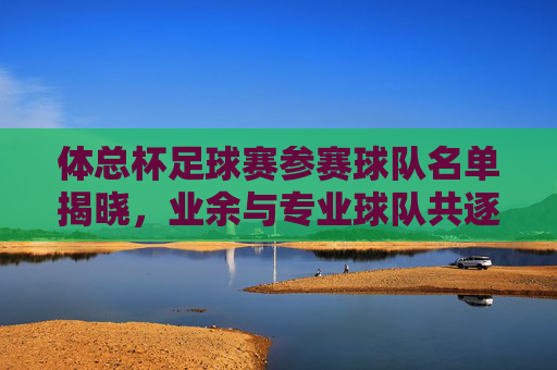 体总杯足球赛参赛球队名单揭晓,业余与专业球队共逐桂冠,体总杯足球赛名单揭晓 业余专业球队共逐桂冠