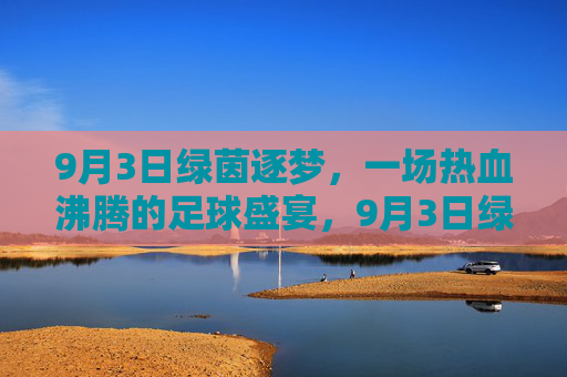 9月3日绿茵逐梦，一场热血沸腾的足球盛宴，9月3日绿茵逐梦，热血足球盛宴