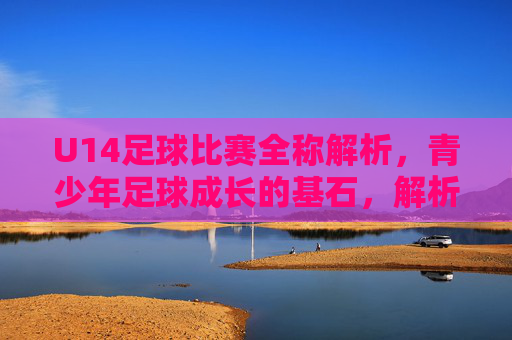 U14足球比赛全称解析,青少年足球成长的基石,解析U14足球比赛,青少年足球成长的基石