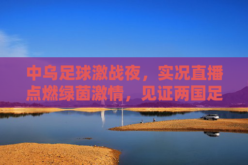 中乌足球激战夜,实况直播点燃绿茵激情,见证两国足球的碰撞与共鸣,中乌足球激战夜,实况直播点燃绿茵激情