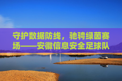 守护数据防线,驰骋绿茵赛场——安徽信息安全足球队员风采录,绿茵驰骋守数据——安徽信息安全足球队员风采