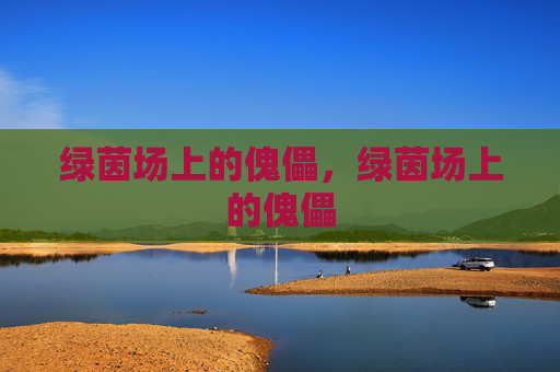 绿茵场上的傀儡,绿茵场上的傀儡