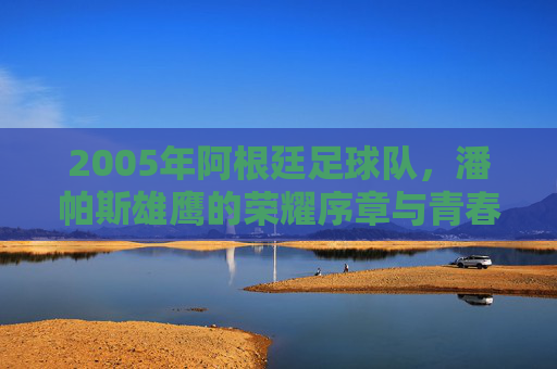 2005年阿根廷足球队，潘帕斯雄鹰的荣耀序章与青春风暴，2005年潘帕斯雄鹰，荣耀序章与青春风暴