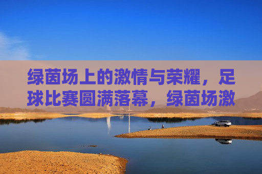 绿茵场上的激情与荣耀,足球比赛圆满落幕,绿茵场激情落幕,荣耀永存
