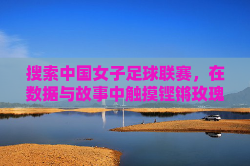 搜索中国女子足球联赛,在数据与故事中触摸铿锵玫瑰的脉搏,铿锵玫瑰的脉搏,中国女子足球联赛的数据与故事