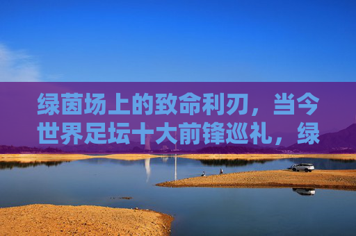 绿茵场上的致命利刃,当今世界足坛十大前锋巡礼,绿茵致命利刃,当今足坛十大前锋巡礼