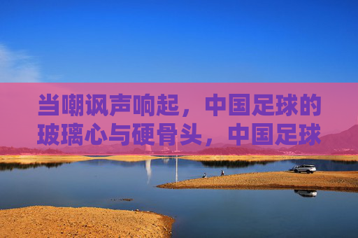 当嘲讽声响起,中国足球的玻璃心与硬骨头,中国足球,嘲讽声下的玻璃心与硬骨头