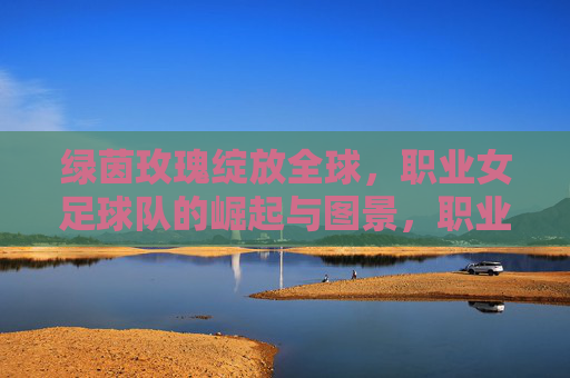 绿茵玫瑰绽放全球,职业女足球队的崛起与图景,职业女足崛起,绿茵玫瑰的全球图景