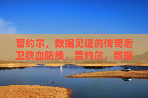 普约尔,数据见证的传奇后卫铁血防线,普约尔,数据见证的铁血防线传奇