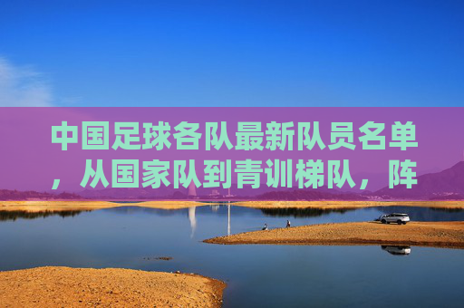 中国足球各队最新队员名单，从国家队到青训梯队，阵容解析与未来展望，中国足球各级队最新名单，从国家队到青训梯队阵容解析与未来展望