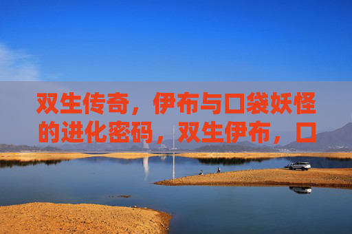 双生传奇,伊布与口袋妖怪的进化密码,双生伊布,口袋妖怪的进化密码
