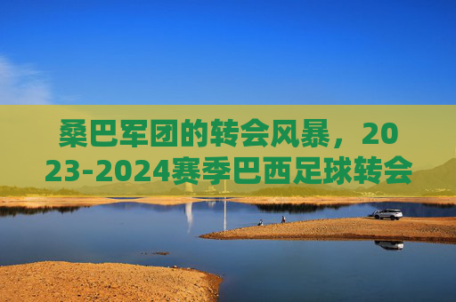 桑巴军团的转会风暴，2023-2024赛季巴西足球转会一览与深度解析，桑巴军团2023-2024赛季转会全景解析